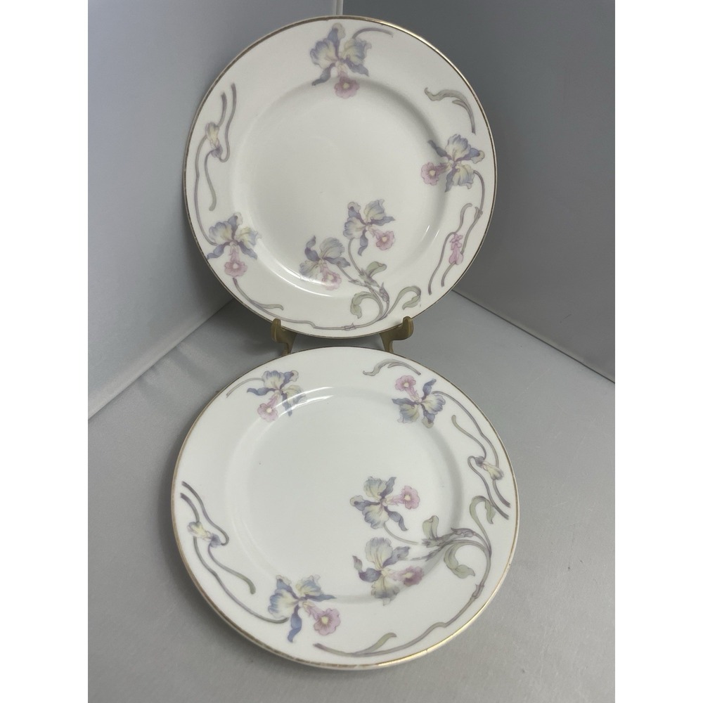 Rosenthal Continental ORCHID Pair of Bread and Butter Plates 6 1/8" Bavaria